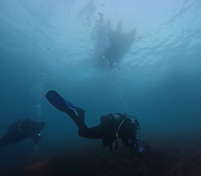 Diver underwater in Antarctica.