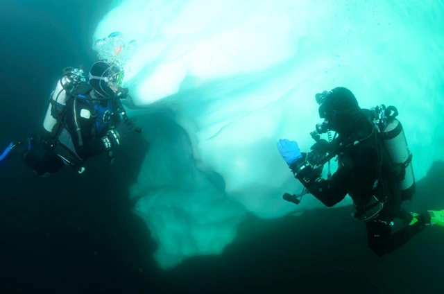 Divers exploring an iceberg in Antarctica.