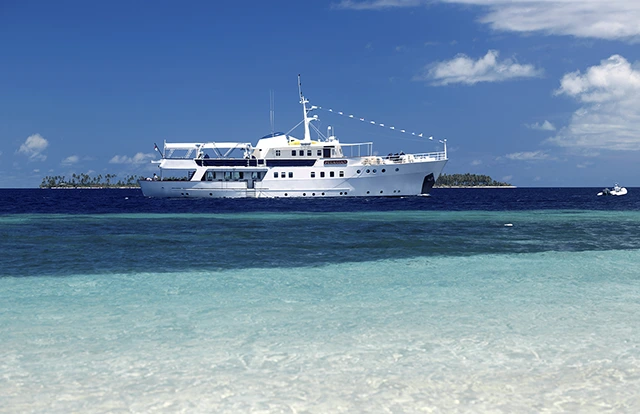 Pelagian liveaboard in Wakatobi, Indonesia
