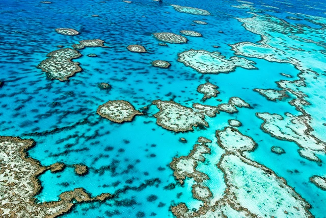 Great Barrier Reef in Queensland, Australia