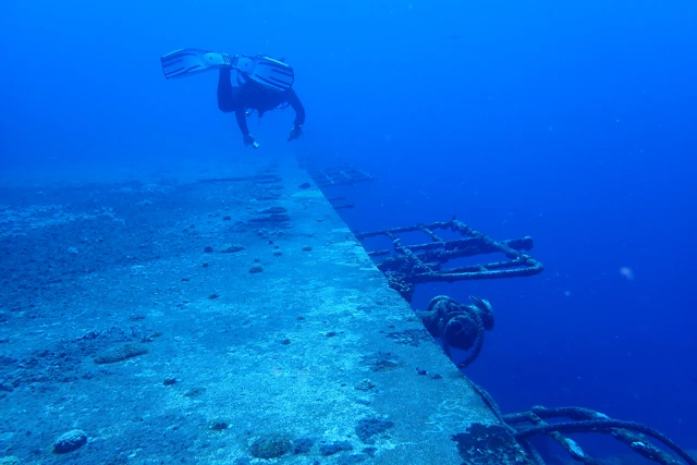 Diving the Charles Brown Wreck, St Eustatius, Caribbean.