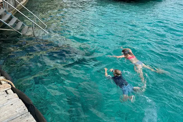 Children snorkelling in Bonaire
