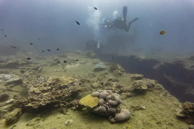 Divers exploring the surface of SS President Coolidge, Vanuatu.