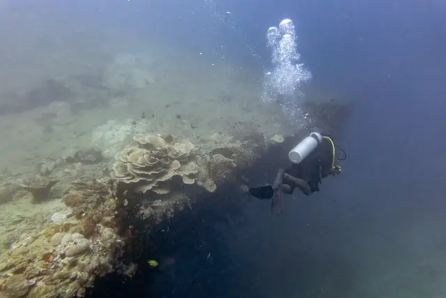 Swimming around the edge of the shipwreck, SS President Coolidge, in Vanuatu.