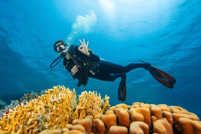 Diver doing an OK sign underwater.