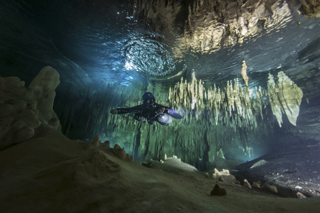 Diver exploring the Cenotes in Mexico