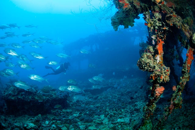 Diver & wreck in Palau.