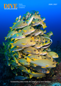 Latest Dive Worldwide Worldwide brochure cover