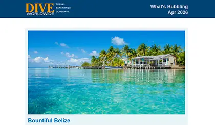Screenshot of the header area of a recent Dive Worldwide e-newsletter.