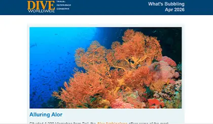 Screenshot of the header area of a recent Dive Worldwide e-newsletter.
