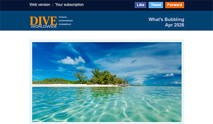 Screenshot of the header area of a recent Dive Worldwide e-newsletter.