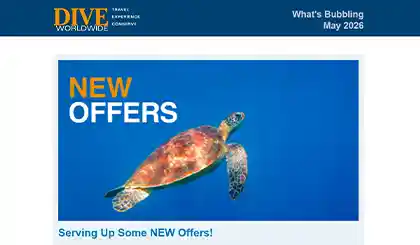 Screenshot of the header area of a recent Dive Worldwide e-newsletter.