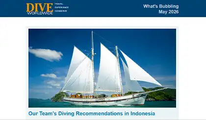Screenshot of the header area of a recent Dive Worldwide e-newsletter.