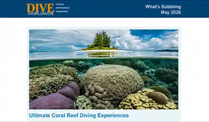 Screenshot of the header area of a recent Dive Worldwide e-newsletter.