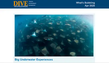 Screenshot of the header area of a recent Dive Worldwide e-newsletter.