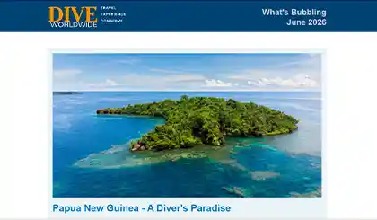 Screenshot of the header area of a recent Dive Worldwide e-newsletter.