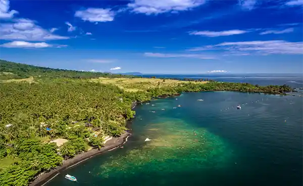 Dive into Lembeh Resort