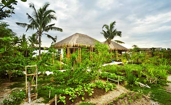 Buena Vida Beach Resort & Spa 