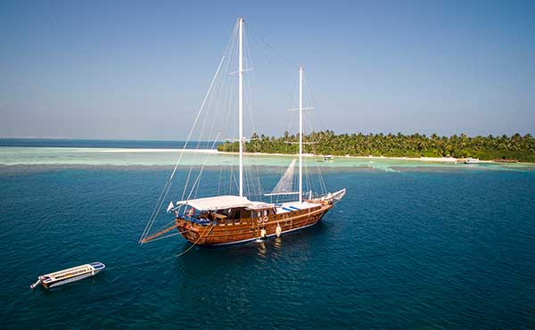 Maldives Snorkelling Conservation Cruise 