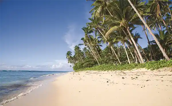 Garden Island Resort