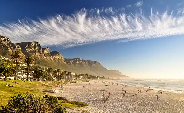 South Africa Sharks, Whales & Vineyards