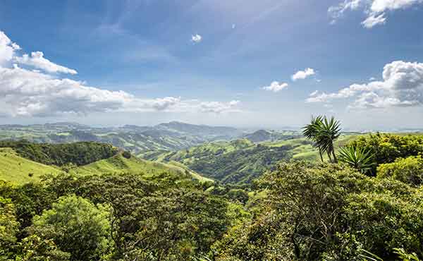 Monteverde Cloud Forest Reserve