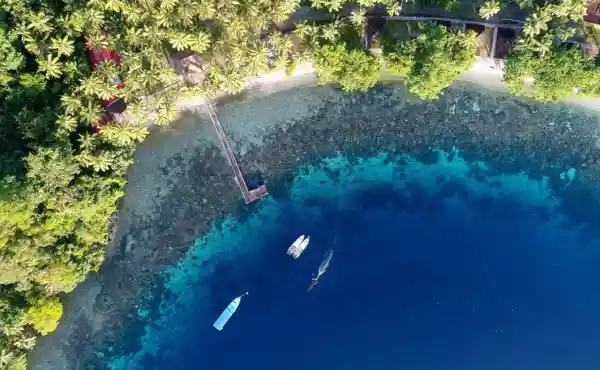 Lembeh & Halmahera Diving with Simon Rogerson