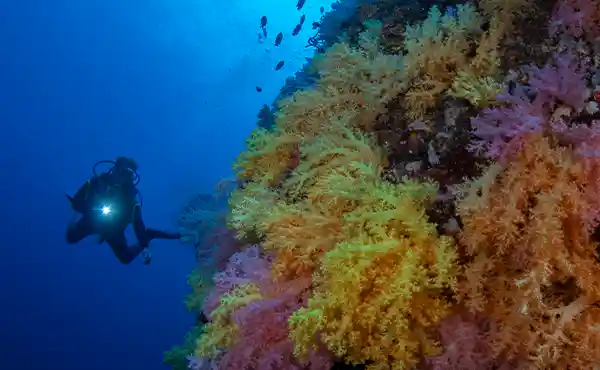 Malapascua & Moalboal with Simon Rogerson