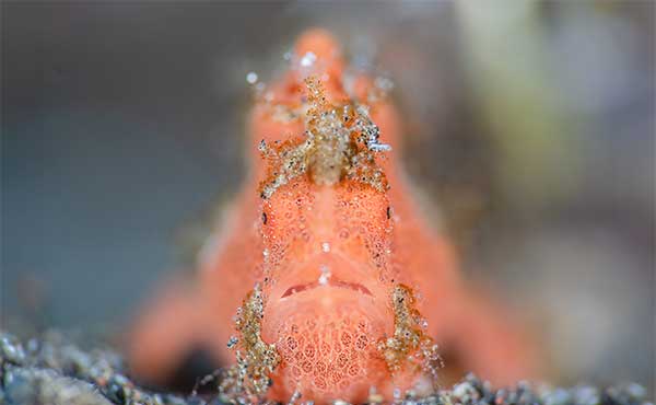 Muck & Magic with Saeed Rashid