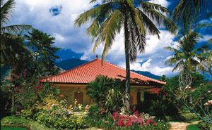 Bali Diving in Style