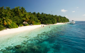 Vilamendhoo Island Resort