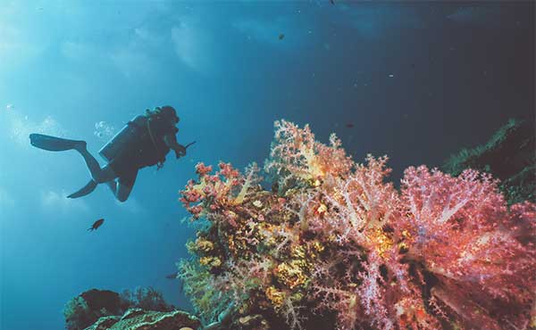 Laid-back Lanta Diving