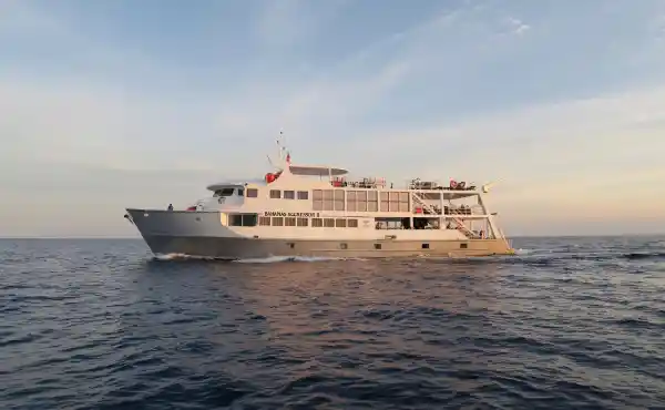 Bahamas Aggressor II