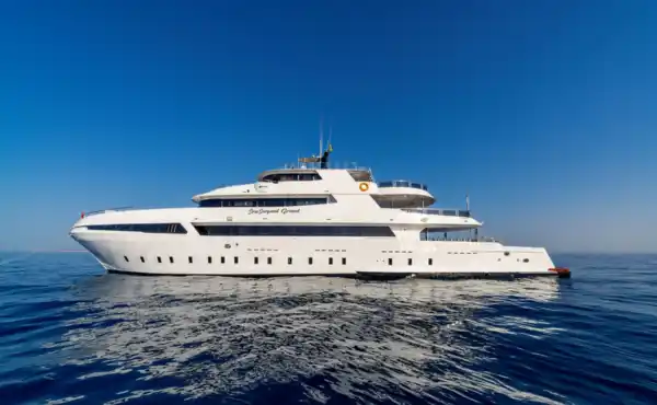 MY Sea Serpent Grand