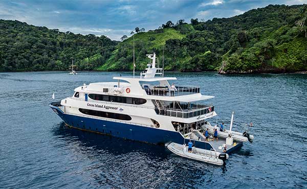 Cocos Island Aggressor