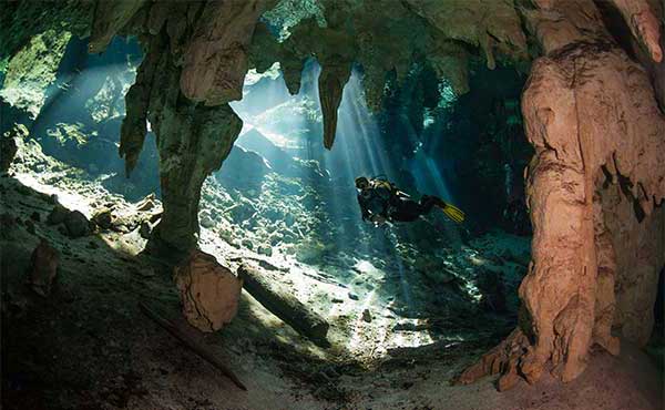 Cenotes & Reefs