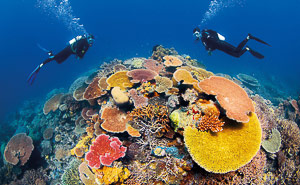 Great Barrier Reef, Queensland