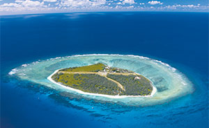 Lady Elliot Island